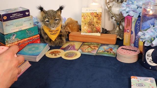 ??"A FRESH START!"?DAILY INSPIRATION TAROT & ORACLE MESSAGES смотреть онлайн