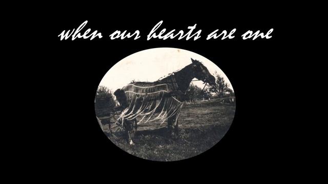 "Part of My Heart's a Cowboy" w/ harmonica смотреть онлайн
