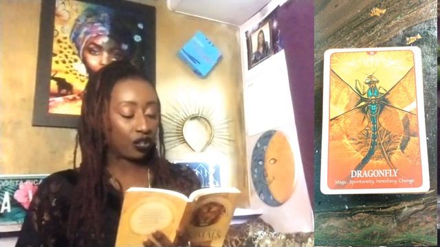 Full Moon Oracle Card Reading | Sagittarius Full Moon 2023 | Secret Language of Aminals Oracle Card смотреть онлайн