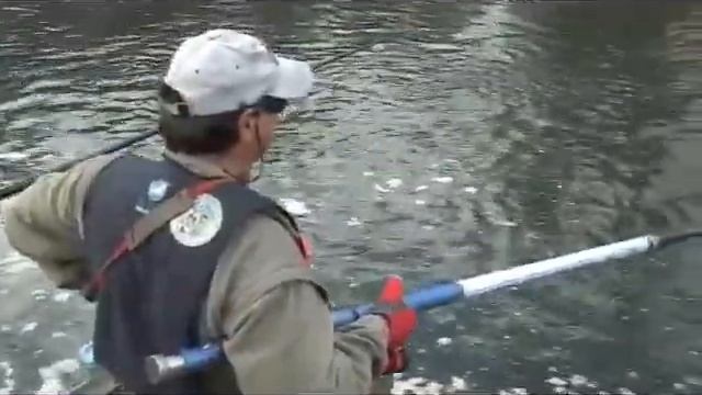 Provincia di Treviso - LUOGHI DI INTERESSE - Pesca Sportiva смотреть онлайн