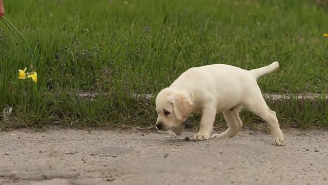 Oscar Grand Life Energy