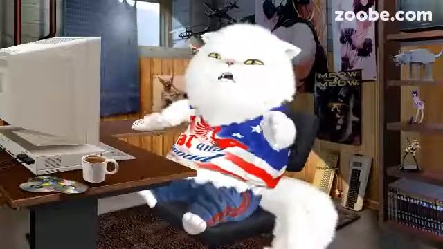Коты снимают стресс - Zoobe Антисоциальный кот смотреть онлайн