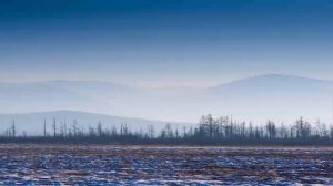 Дальневосточный гектар - и даром не нужен