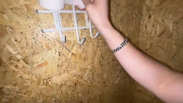 КОРЕШ ССЫТ, А САНЕЧКА ПОМОГАЕТ смотреть онлайн