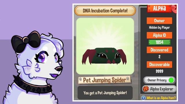 Animal Jams Pet Jumping Spider Is Basically Pet Rock смотреть онлайн