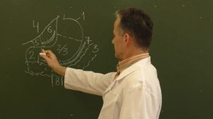 Схема резекции желудка по Ру