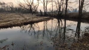 Как словить голавля на воблер "майский жук" от @chafer.37