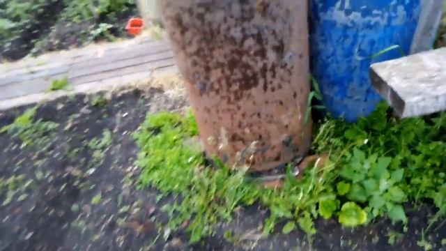 Ремонтантная земляника. смотреть онлайн