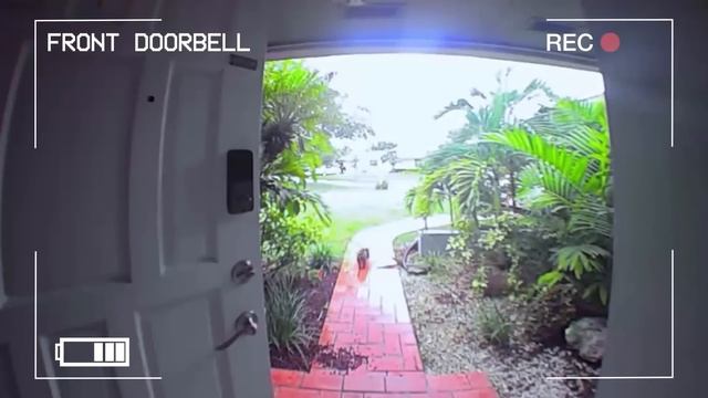 VIVIENDO EL PEOR HURACÁN QUE HA LLEGADO A FLORIDA?| Leyla Star? смотреть онлайн