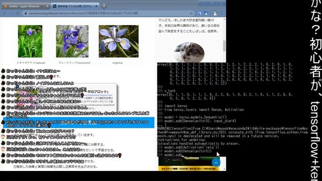 【プログラミング】初心者が、tensorflow+kerasでアヤメ(iris)を判別してみる。AIの仕組みが分かります。 смотреть онлайн