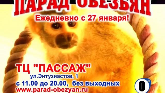 "Парад Обезьян" в Балашове!!! смотреть онлайн