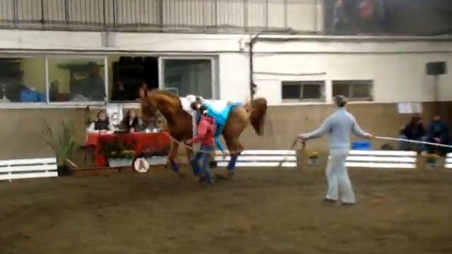 Emma Kassa - Voltige Libre Meaux Novembre 2012 Ecuries Jean-Baptiste смотреть онлайн