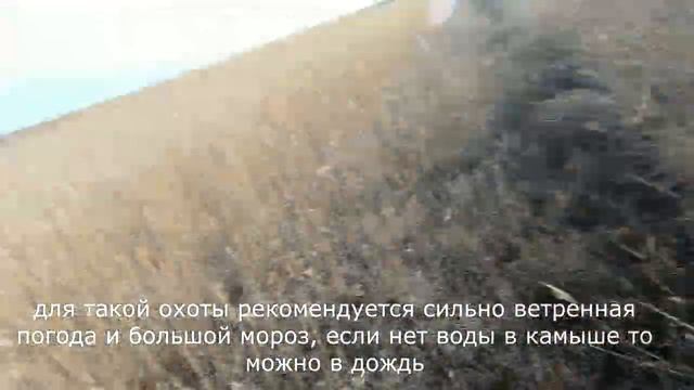 Способ охоты на шакала смотреть онлайн