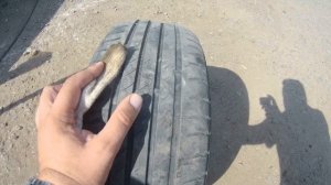 Китаец на Японце замена шины SAILUN (сайлун).