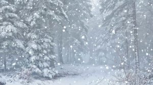 Футаж. Зимний пейзаж 58