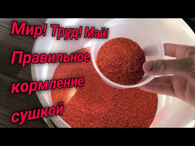 Выходной обзорчик разводни смотреть онлайн
