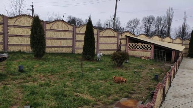 Славянск. 31 декабря 2022 года. полдень. смотреть онлайн