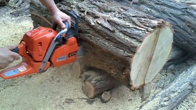 Husqvarna 555 Cutting Black Locust Part 1