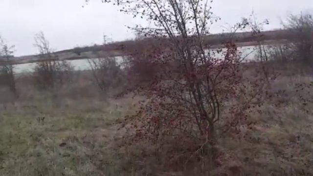 #деревня #хутор #станица #село Григорьевка- Отрадовка смотреть онлайн
