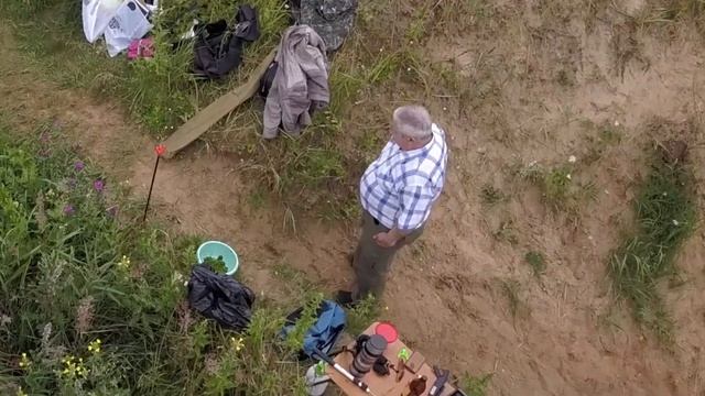 Шашка от комаров 