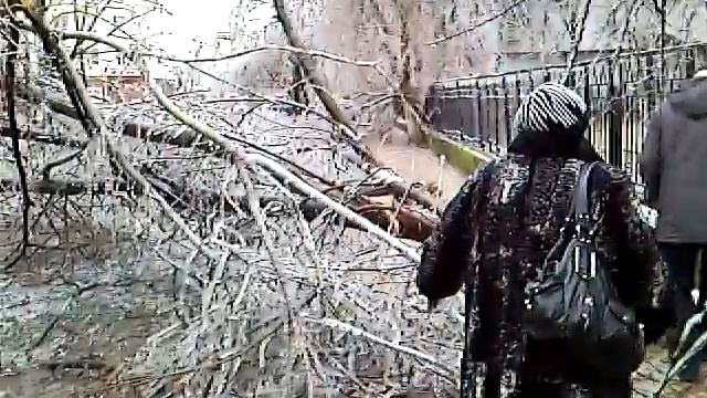 Последствия ледяного дождя в Краснодаре смотреть онлайн