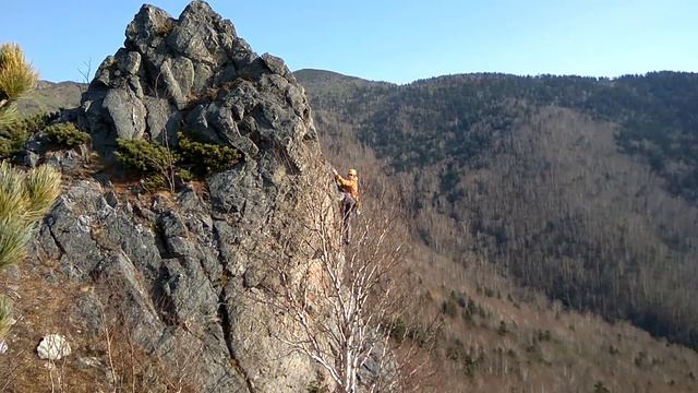 молочный зуб смотреть онлайн
