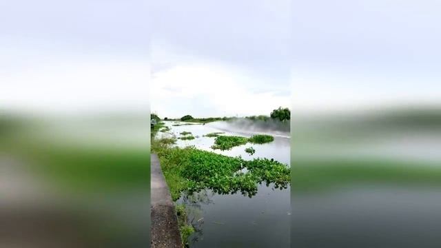 ?АВТО ЧУДИКИ ИЗ СОЦСЕТЕЙ ,СМЕШНЫЕ ВИДЕО НА ДОРОГАХ 2021, ЛУЧШИЕ АВТО ПРИКОЛЫ 2021.mp4 смотреть онлайн