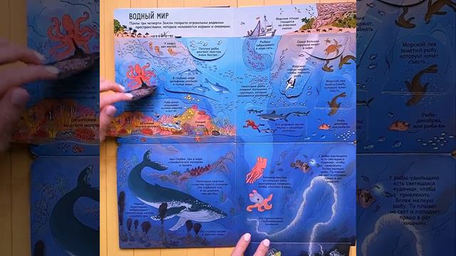 Волшебные окошки | СЕКРЕТЫ ПЛАНЕТЫ ЗЕМЛЯ смотреть онлайн