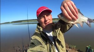 КАРАСЬ НА ДОНКИ!ЛУЧШИЙ МОНТАЖ НА КАРАСЯ.ЭЛЕКТРОННЫЕ СИГНАЛИЗАТОРЫ ПОКЛЕВОК. РОДПОД ИЗ ДЕКАТЛОНА.