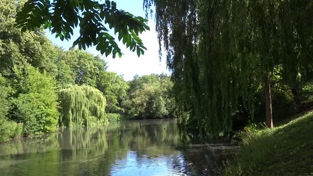 Увидеть свекровь она никак не ожидала. Приехали разбираться? Мы еще не разобрались, а Вы уже явилис смотреть онлайн