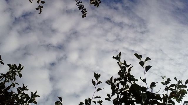 20240827_091203.mp4 смотреть онлайн