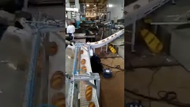 Система автоматической выгрузки хлеба из печи (старт-стоп) смотреть онлайн