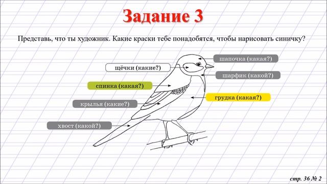 Русский язык урок 117. Развитие речи: Описание птицы. смотреть онлайн