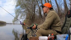 ОТБОРНАЯ ГУСТЕРА на фидер весной. Где ловить в  запрет на Десне?