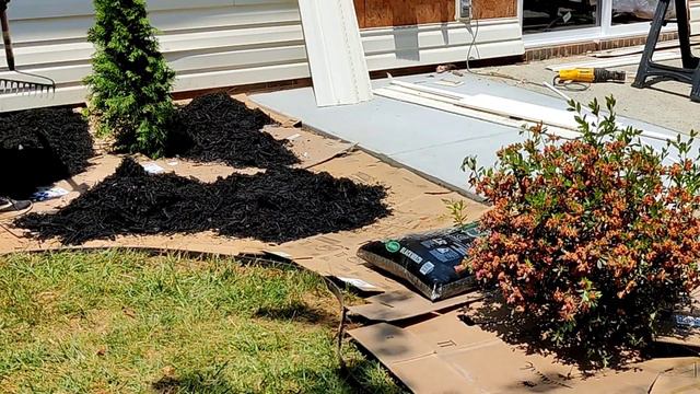 Backyard Landscaping Project | Charlotte, NC | Kreatyve Gardenista смотреть онлайн