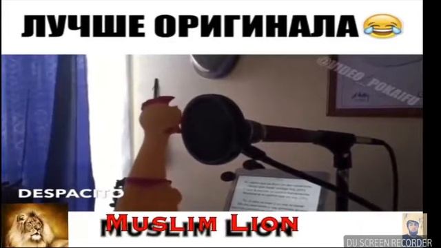 Курица поёт деспасито полный угар смотреть всем смотреть онлайн