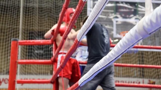 День Тренера #PRO.Пестово смотреть онлайн