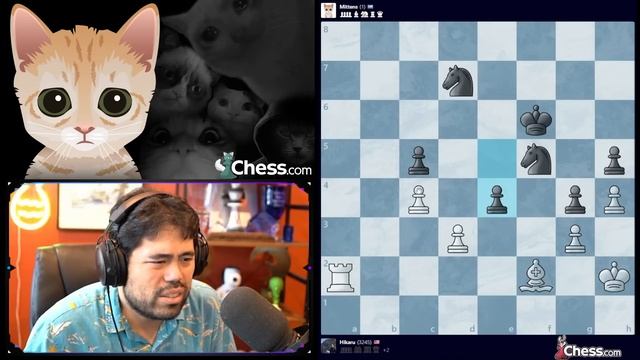 Stealing Pawns from a Cat Named Mittens ? смотреть онлайн