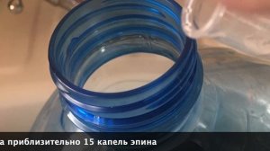 Применение Эпина-экстра для комнатных растений весной.