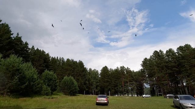 #Ермаковскийпруд #Наозере  На Ермаковском пруду кормим орлов