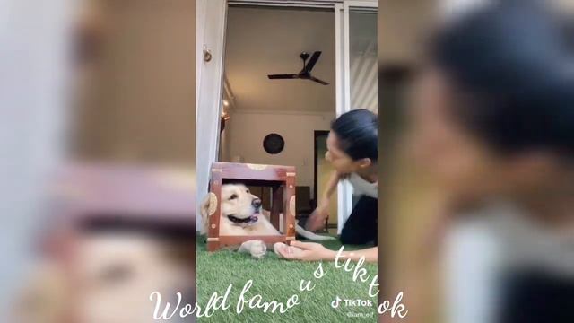 Erica Fernandes new tiktok смотреть онлайн