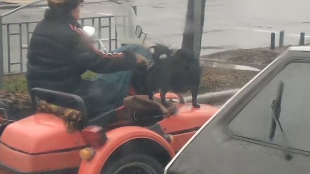 Как быть крутым в Мариуполе смотреть онлайн