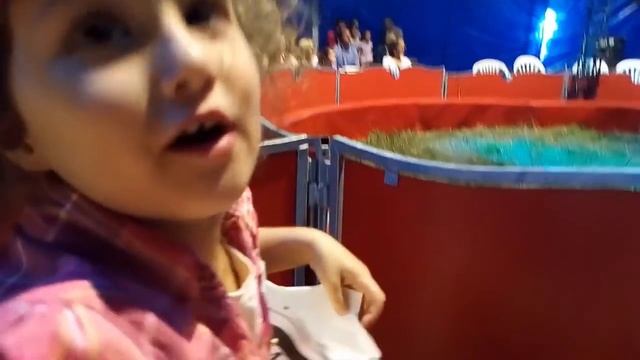 Цирк Шапито во Франции//Животные пони, лама, верблюд/Смешной клоун//Алис идет в цирк впервые в жизн смотреть онлайн