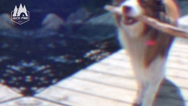 Cottage Dock - Teaser смотреть онлайн