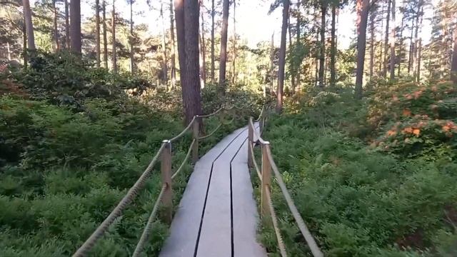 Why you should Visit Rhododendron Park in Helsinki смотреть онлайн