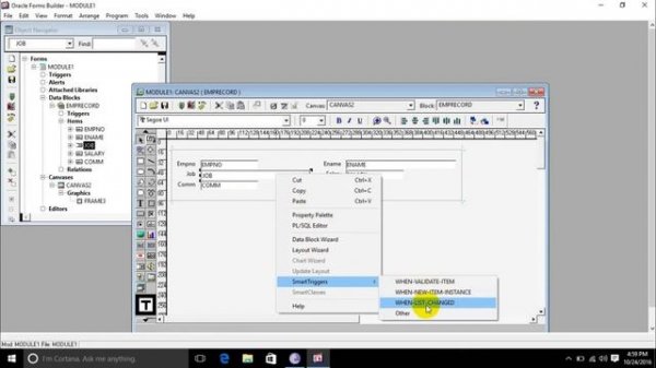 ORACLE DEVELOPER CLASS 11