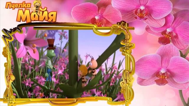 10 Сонные пчёлки  Новые приключения пчёлки Майи