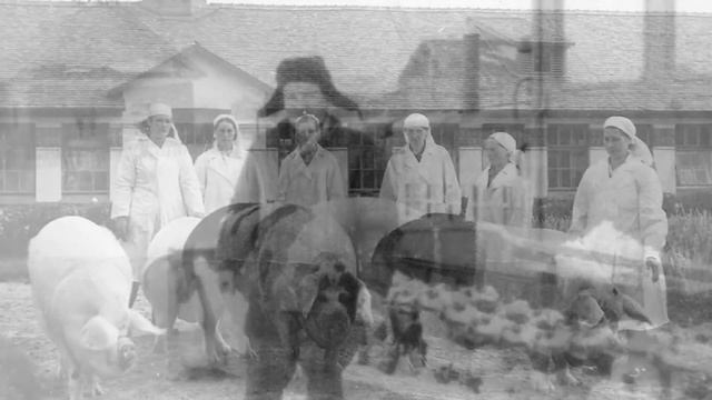 Моя деревня смотреть онлайн