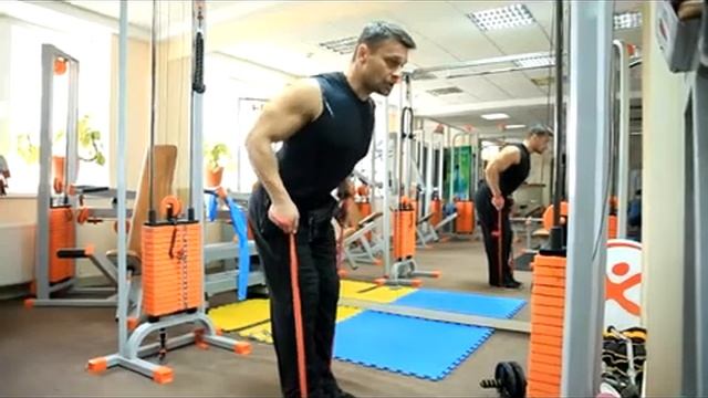 Трицепс,мышцы спины, дельтоиды. Часть 2 смотреть онлайн