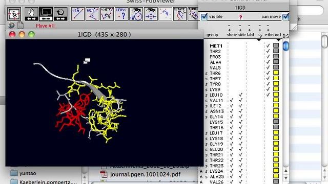 Visualizing protein structure in SwissPDBViewer (1) смотреть онлайн